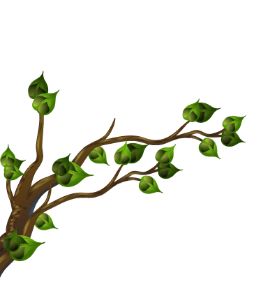 green garden 34 çiçekçi